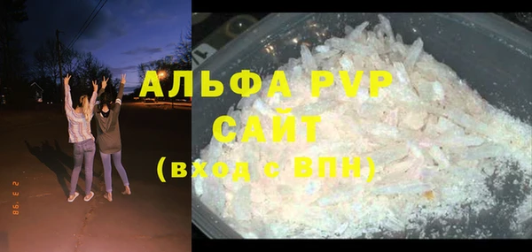 ПСИЛОЦИБИНОВЫЕ ГРИБЫ Инсар