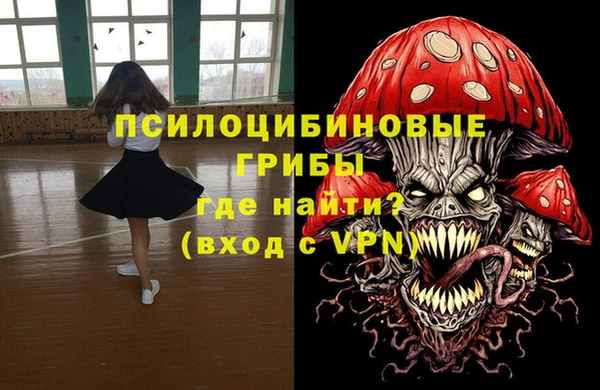 ПСИЛОЦИБИНОВЫЕ ГРИБЫ Инсар