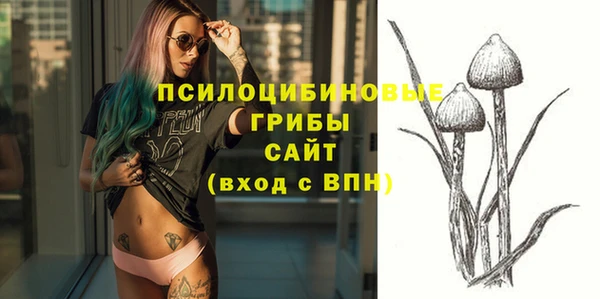ПСИЛОЦИБИНОВЫЕ ГРИБЫ Инсар