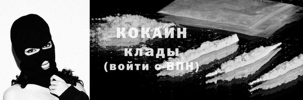 ПСИЛОЦИБИНОВЫЕ ГРИБЫ Инсар