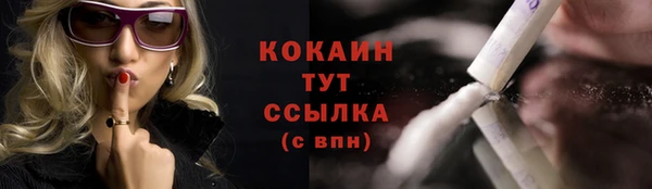 ПСИЛОЦИБИНОВЫЕ ГРИБЫ Инсар