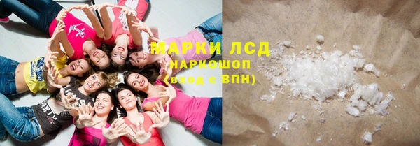 ПСИЛОЦИБИНОВЫЕ ГРИБЫ Инсар