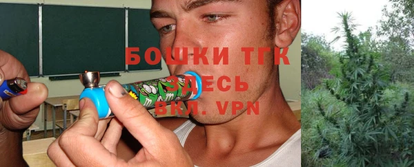 ПСИЛОЦИБИНОВЫЕ ГРИБЫ Инсар