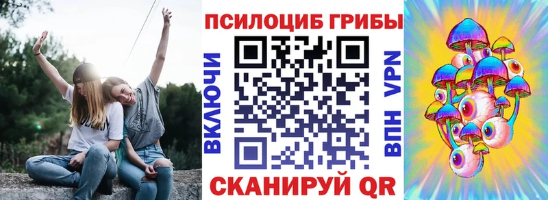 Купить  Бугуруслан  Псилоцибиновые грибы MAGIC MUSHROOMS 